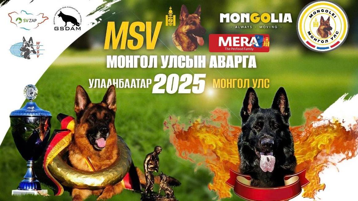 МОНГОЛ УЛСЫН АВАРГА 2025